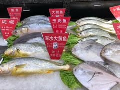 -宝燕壹号(徐汇店)