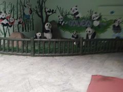 -南昌动物园