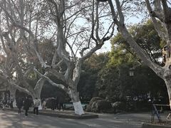 -钱王祠