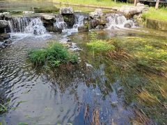 -白水寺森林公园