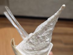 山野玫瑰冰淇淋-野人先生现做冰淇淋(北京环宇荟店)