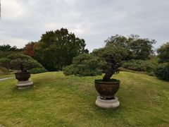 -扬州大运河文化旅游度假区·盆景园