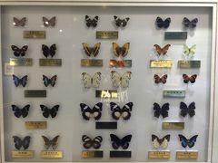 -上海昆虫博物馆