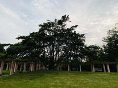 -青岛德国总督楼旧址博物馆