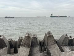 -上海滨江森林公园