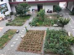 -柞水乾佑红门家菜