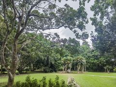 -中国科学院西双版纳热带植物园
