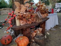 -HERRE·FARM 赫尔露营农场·团建聚会包场