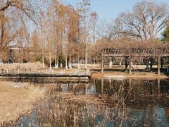 -阳澄湖半岛旅游度假区