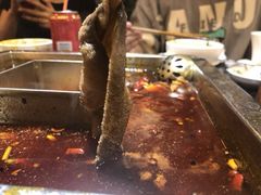 -红鼎坊·老成都火锅(新南门店)