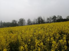 -中国天府农业博览园