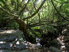 子兮摄影-45._副本-七仙岭君澜度假酒店