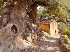 -杨家堂村