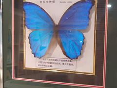 -蝴蝶泉公园