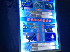 -泉城欧乐堡海洋极地世界