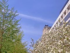 -北京丽晶酒店