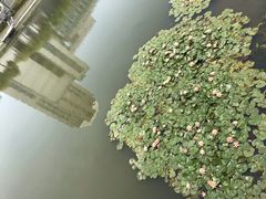 -江南大学(蠡湖校区)