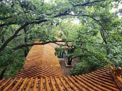 -萨尔浒风景区