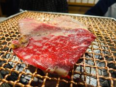 -九田家黑牛烤肉料理(石路天虹店)