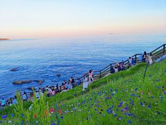 -燕儿岛山公园