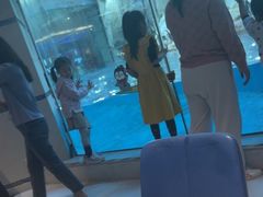 -帝企鹅自助餐厅•儿童岛•真企鹅(长隆企鹅酒店)