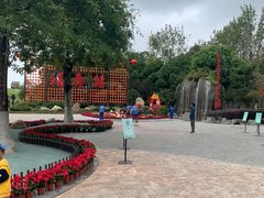 -合肥滨湖国家森林公园