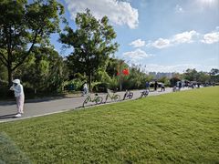 -昆山城市生态森林公园