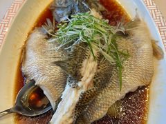 -峨嵋酒家(牡丹园店)