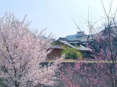 -贵阳市花溪国家城市湿地公园