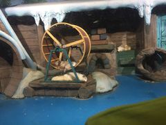 中影国际影城九江市八里湖新区九方店-中影国际影城(九江花园城CINITY LED店)