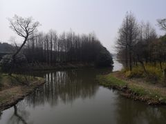 -贡湖湾湿地公园
