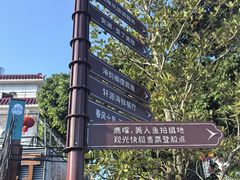 -杨梅坑