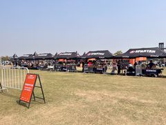 -春花秋色城市公园