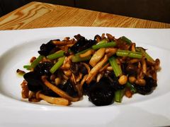 菌菇小炒-莫山小馆(大石桥店)