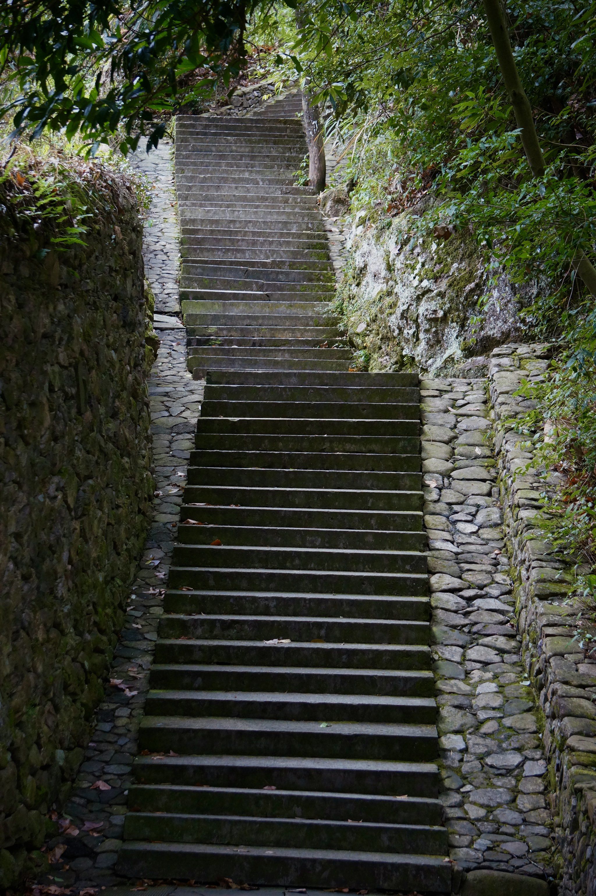 曲径通幽的山间路