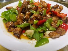 -煲来饱去冷水鱼