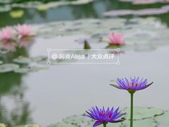 -国家植物园南园