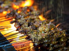 -清真·马峰烤肉(小学习北巷店)