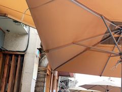 -都江堰石锅鱼
