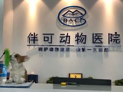 -美联众合动物医院·伴可分院·内科中心医院