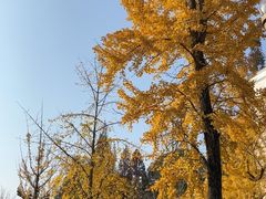 -四川大学(华西校区)