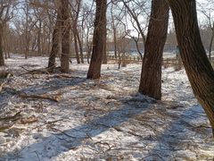 -长春市南湖公园