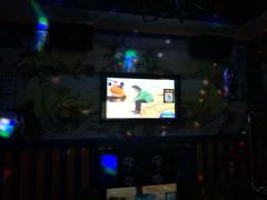 -麦歌精致量贩ktv