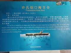 -辽宁古生物博物馆
