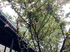 -湖南省立第一师范学校旧址