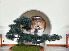 -腾冲和顺柏联酒店
