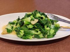 -福来齐·鲁菜海鲜·渔家菜(朝阳街分店)