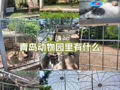 -青岛动物园