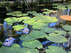 -国家植物园南园