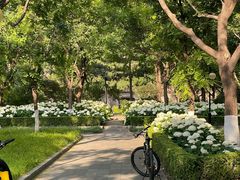 -清华大学-观畴园餐厅